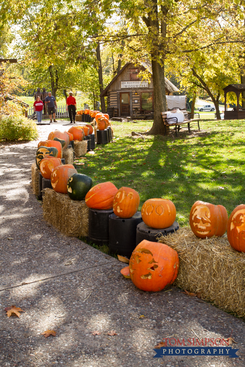 Bootiful Nauvoo Pumpkin Walk Photos by Tom Simpson Photography